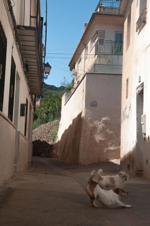 Casa Beatles Del Valle Pinos del Valle Exteriér fotografie